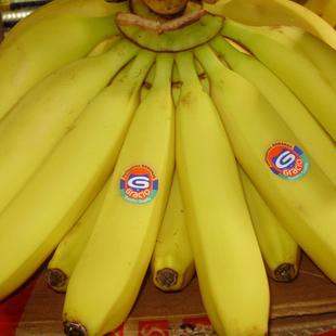 超市1斤香蕉多少钱(超市1斤香蕉多少钱啊)