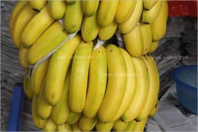 导读：本文将介绍超市出售的一串香蕉每千克所含的热量