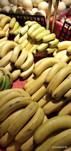 超市 天卖多少香蕉(超市 天卖多少香蕉一斤)